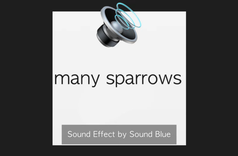 Image 473 Sound Effects - Sound Blue Music